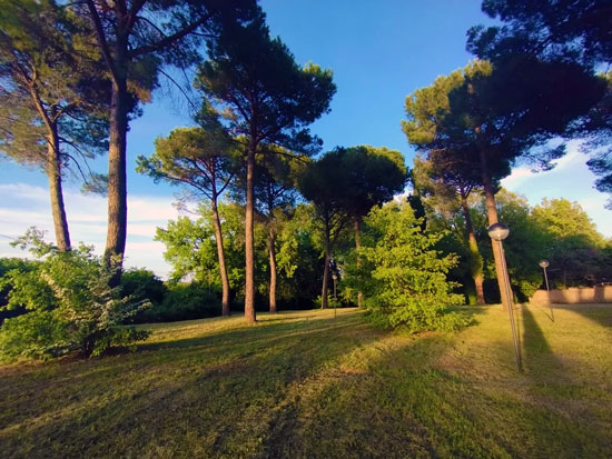 LE AREE VERDI